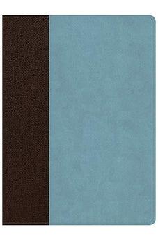 CSB Life Essentials Interactive Study Bible Brown/Sky LeatherTouch Indexed