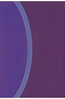 CSB Rainbow Study Bible, Two Tone Purple LeatherTouch