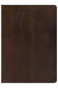 CSB She Reads Truth Bible, Brown Genuine Leather, Indexed 9781433648250