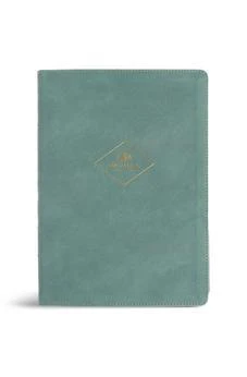 CSB Women's Study Bible, Earthen Teal SuedeSoft LeatherTouch, Indexed, Black Letter, Study Notes, Articles, Profiles, Book Intros & Conclusions, Word ... Charts, Timelines, Color Photos/Maps