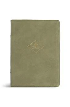CSB Women's Study Bible, Sage SuedeSoft LeatherTouch, Black Letter, Study Notes, Articles, Profiles, Book Introductions & Conclusions, Word Studies, Cross-Refs, Charts, Timelines, Color Photos/Maps